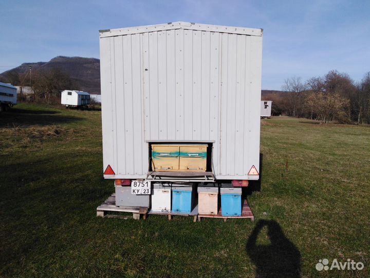 Мёд свежий (сбор-2023 г.) -с личной кочевой пасеки