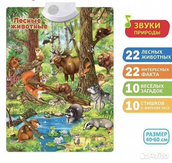 Развивающие,музыкальный плакат,интерактивная