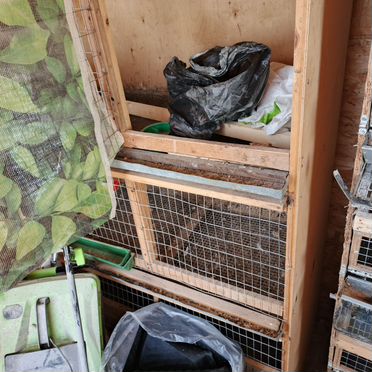 Клетки для перепелов