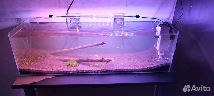 Аквариум 60 литров