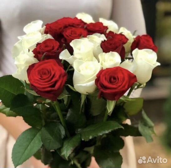 Розы 21 штука 60 см