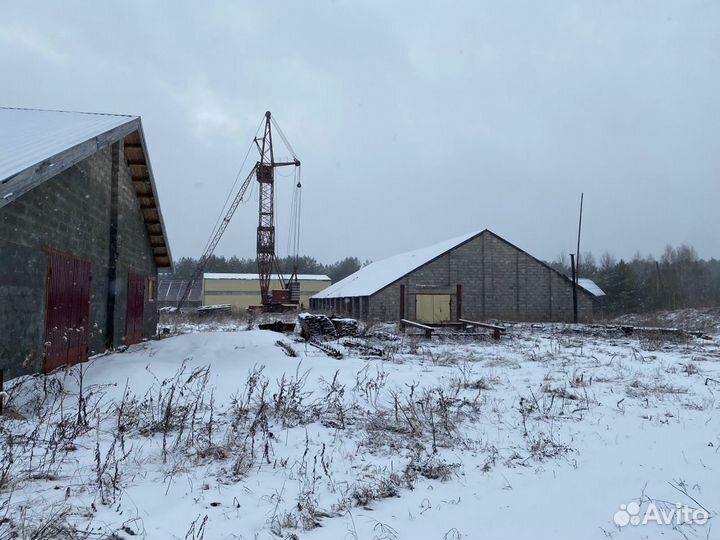 Производство по заготовке и переработке древесины