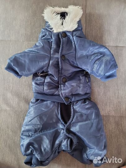 Одежда для собак мелких пород