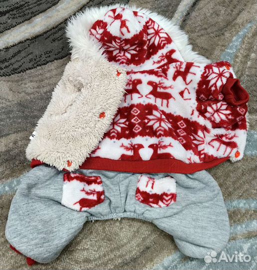 Одежда для маленьких собак