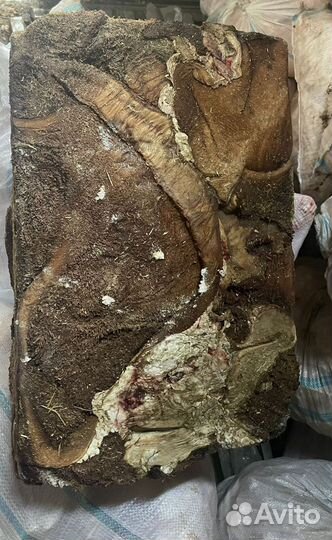 Мясо для собак