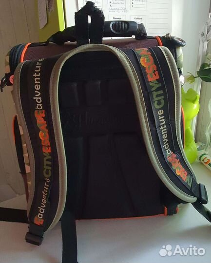 Школьный рюкзак hummingbird