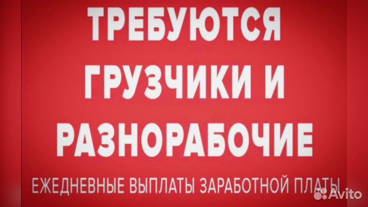 Грузчики разнорабочие ежедневная оплата