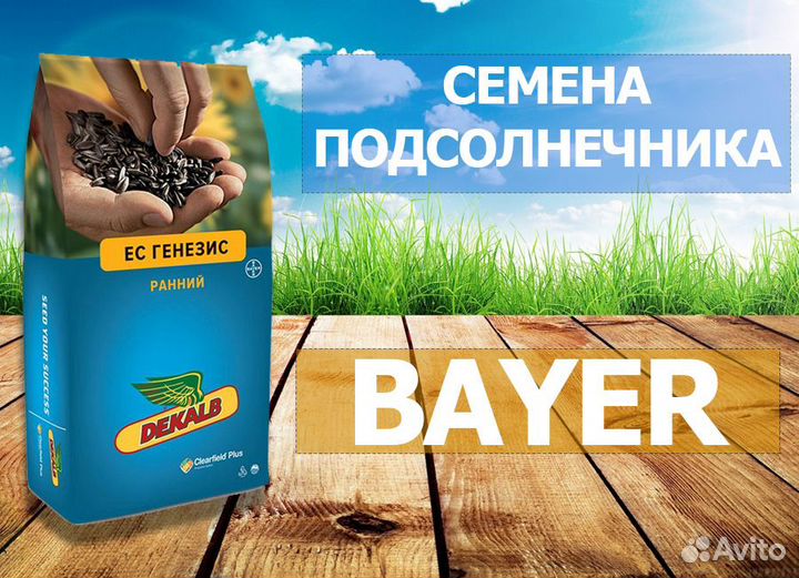 Семена гибридов подсолнечника Bayer (Байер)