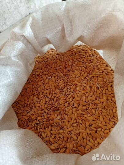 Семена Арбуза и Дыни