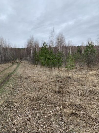 Участок 6,11 га (СНТ, ДНП)