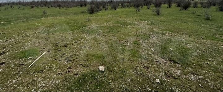 Участок 5 сот. (ИЖС)