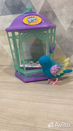 Little live pets птичка в клетке