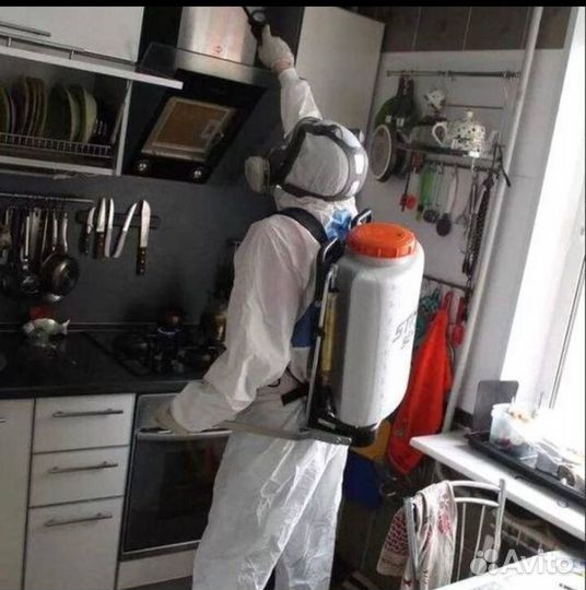 Уничтожение клопов, тараканов.Дезинсекция Гарантия