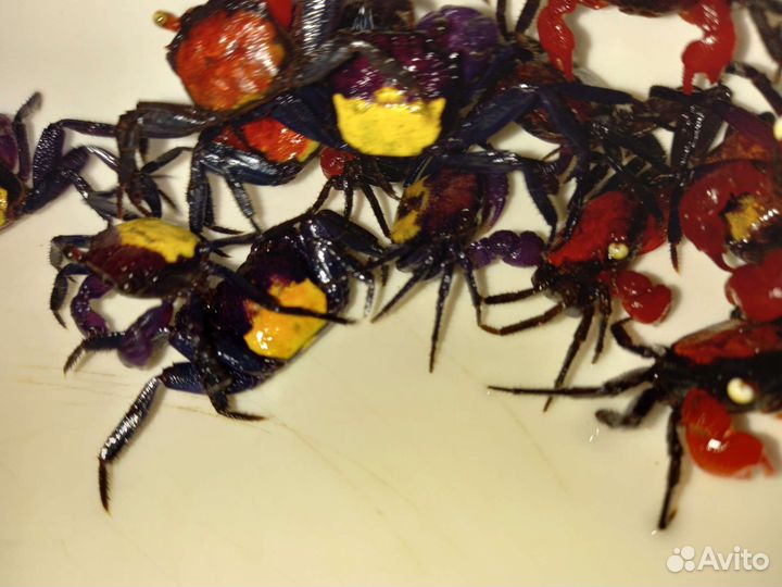 Крабики мини