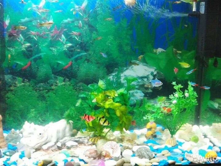Аквариум