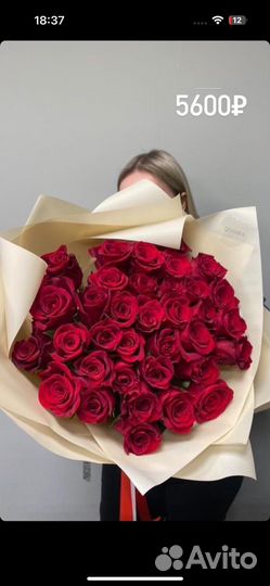 Розы эквадор