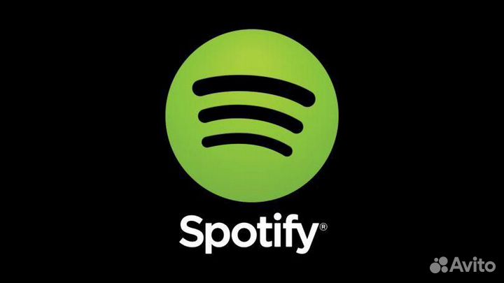 Spotify Premium Individual на 12 месяцев