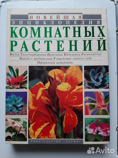 Энциклопедия комнатных растений