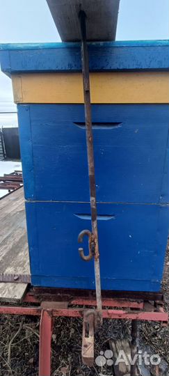 Пчеловодческий прицеп + 10 ульев