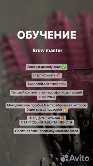 Обучение мастер- бровист