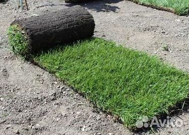 Гидропосев