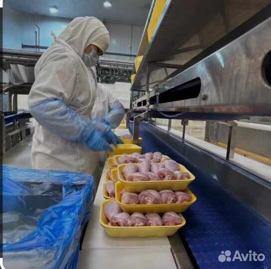 Упаковщик Вахта питание проживание проезд