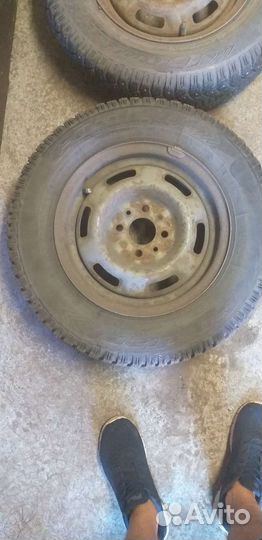 Cordiant Polar 175/70 R13