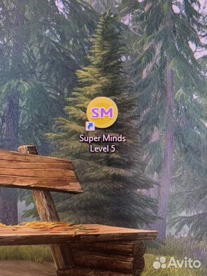 Софт Cambridge English Super Minds Level 5