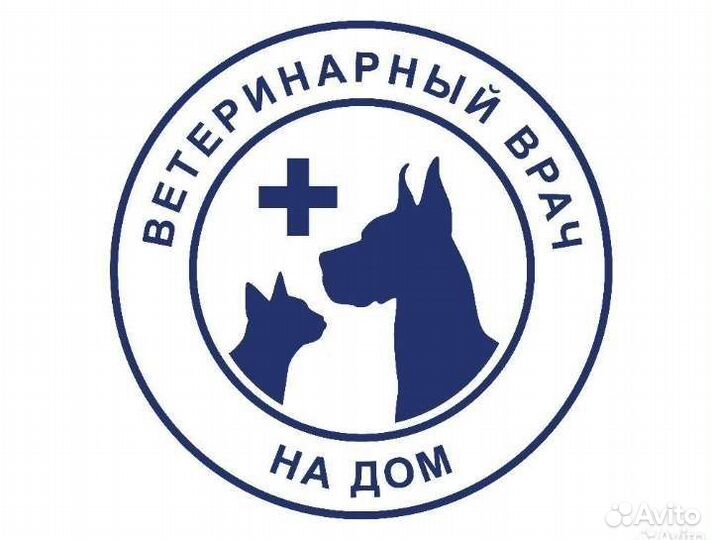 Ветеринарный врач на дом
