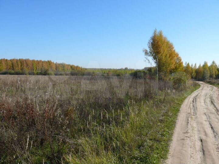 Участок 6 га (СНТ, ДНП)