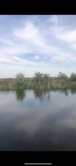 Участок 7 сот. (СНТ, ДНП)