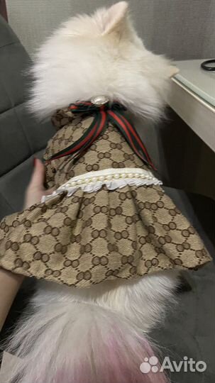 Платье для собачки