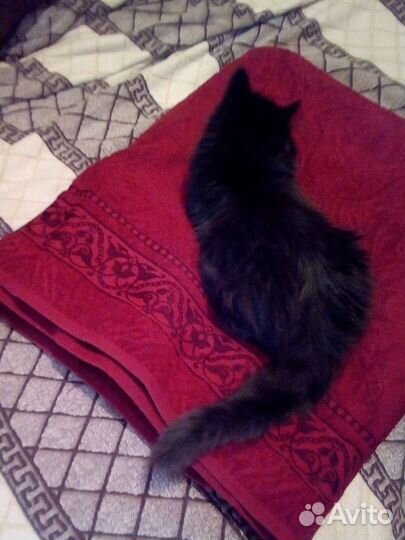 Плед - покрывало