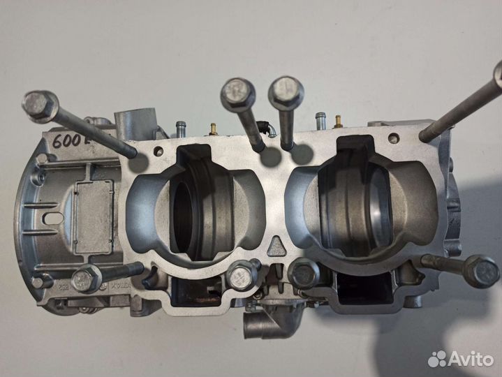 Картер - цилиндр BRP Rotax Ski - Doo 600 E-TEC