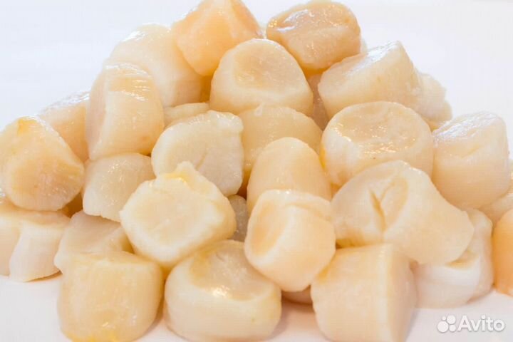 Гребешок Приморский