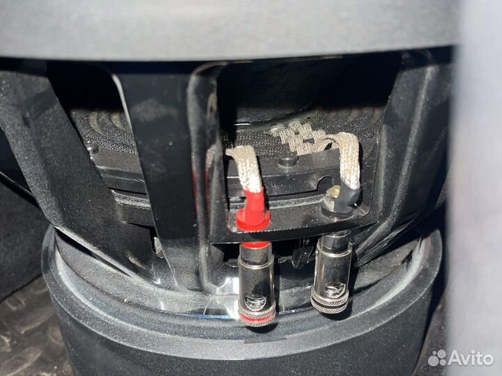 Kingz audio tsr x 12