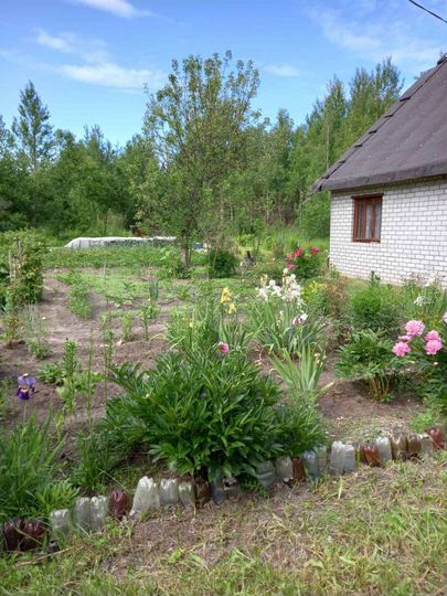 Дача 30 м² на участке 6 сот.