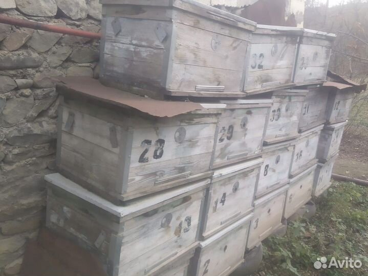 Ульи для пчел