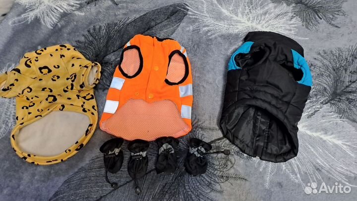 Одежда для маленьких собак