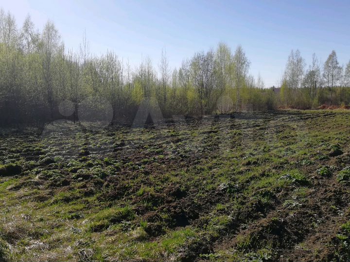 Участок 20 сот. (СНТ, ДНП)