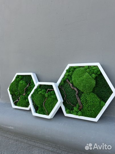 Панно-соты из стабилизированного мха