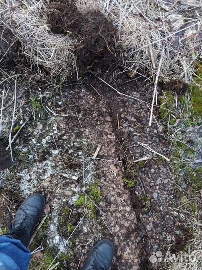 Плиты дорожные 3х1.75 бу