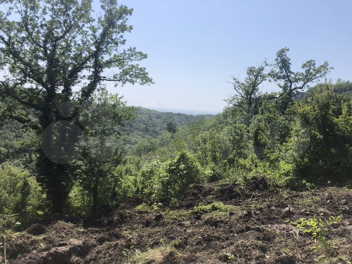 Участок 15 сот. (СНТ, ДНП)