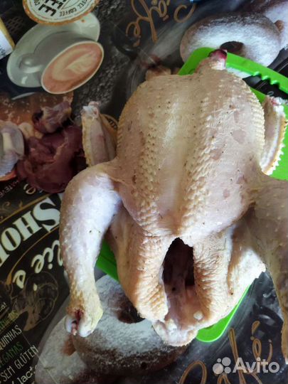 Курица домашняя бройлер