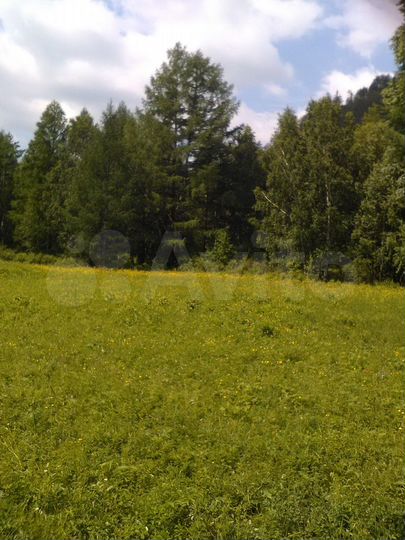 Участок 16 сот. (СНТ, ДНП)