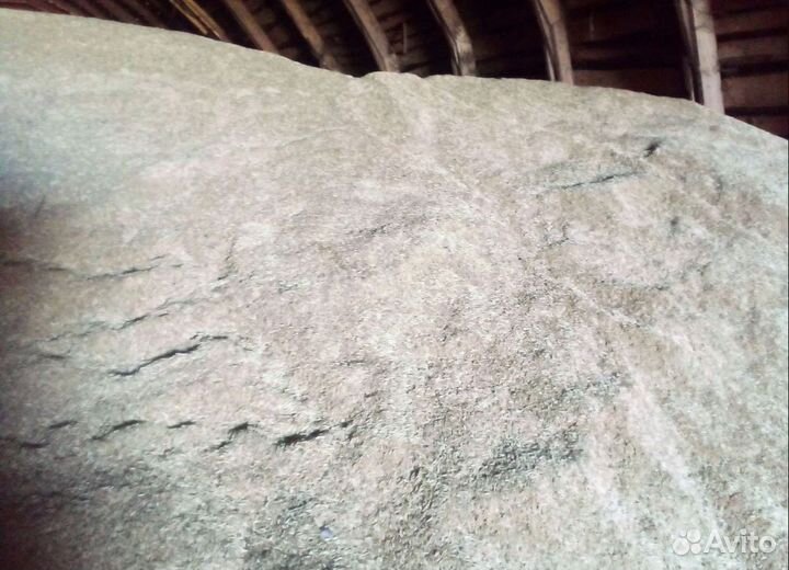 Сахарная свёкла, Пшеница яровая на корм