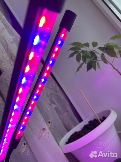 Новая фитолампа для цветов и растений светодиодная