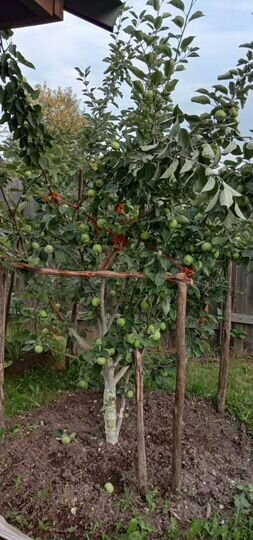 Дача 50 м² на участке 8 сот.