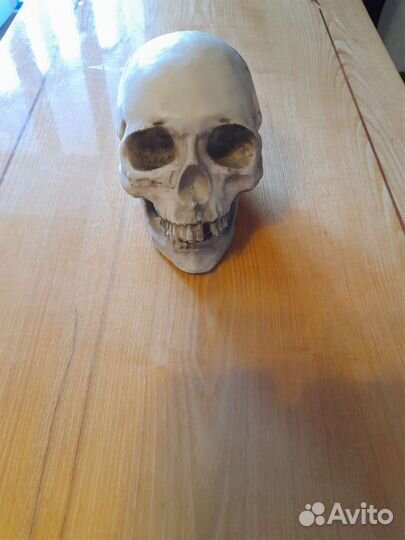 Копилка Череп