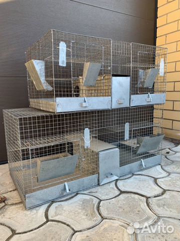Клетка для разведения шиншилл